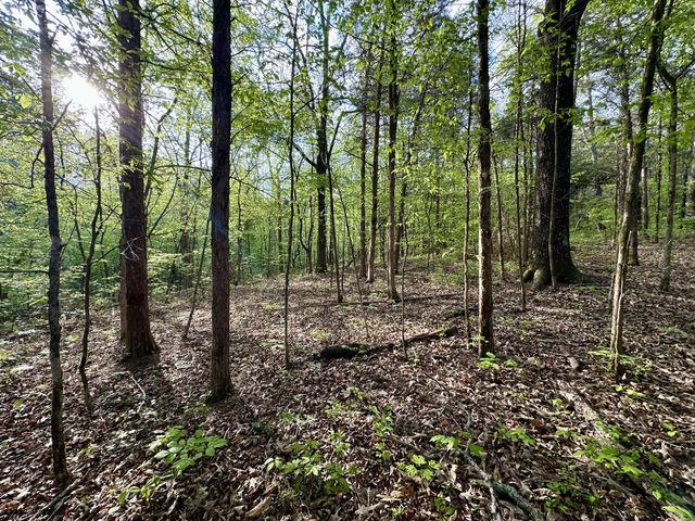 828 McCord Hollow Rd, Hohenwald, TN 38462