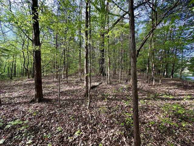 828 McCord Hollow Rd, Hohenwald, TN 38462