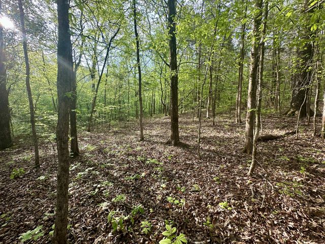 828 McCord Hollow Rd, Hohenwald, TN 38462