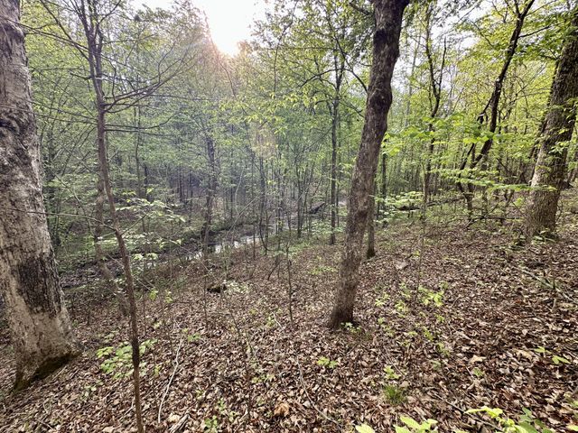 828 McCord Hollow Rd, Hohenwald, TN 38462