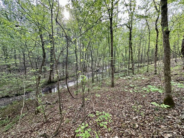 828 McCord Hollow Rd, Hohenwald, TN 38462