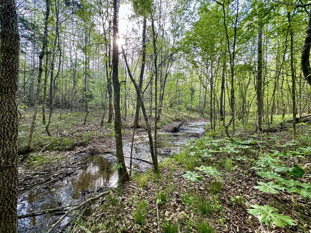 828 McCord Hollow Rd, Hohenwald, TN 38462