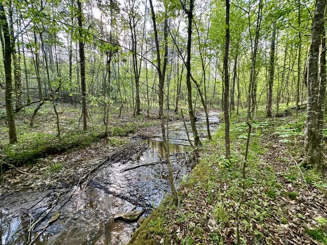 828 McCord Hollow Rd, Hohenwald, TN 38462