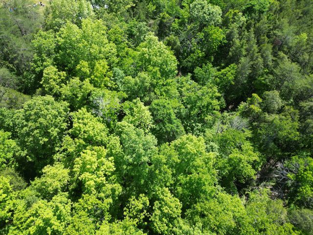 828 McCord Hollow Rd, Hohenwald, TN 38462