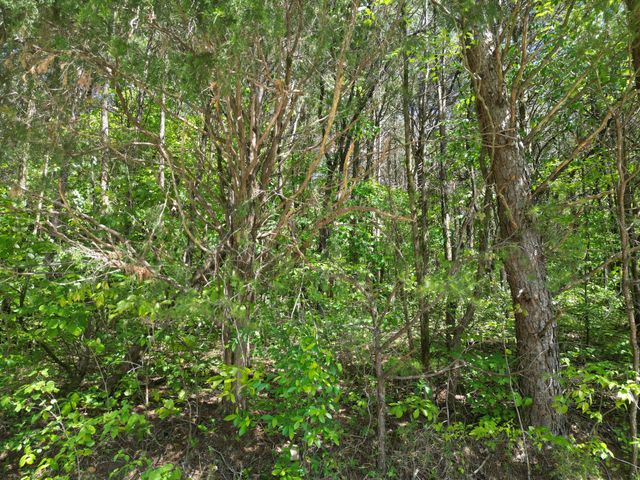 828 McCord Hollow Rd, Hohenwald, TN 38462