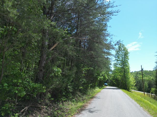 828 McCord Hollow Rd, Hohenwald, TN 38462