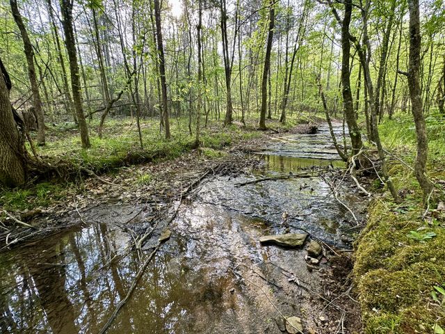 828 McCord Hollow Rd, Hohenwald, TN 38462