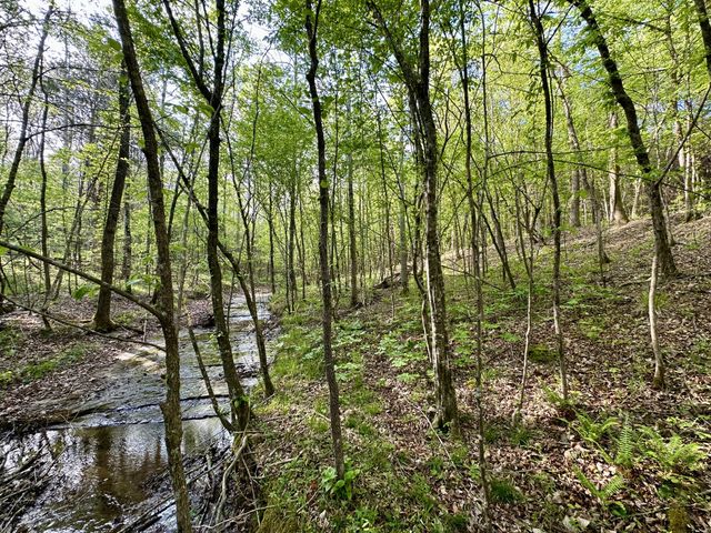828 McCord Hollow Rd, Hohenwald, TN 38462