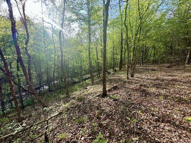 828 McCord Hollow Rd, Hohenwald, TN 38462