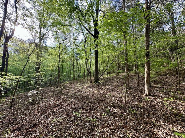 828 McCord Hollow Rd, Hohenwald, TN 38462