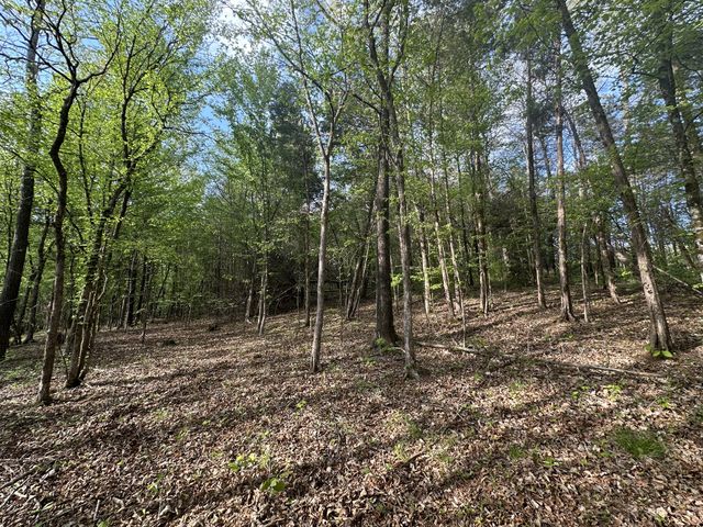 828 McCord Hollow Rd, Hohenwald, TN 38462
