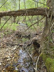 828 McCord Hollow Rd, Hohenwald, TN 38462