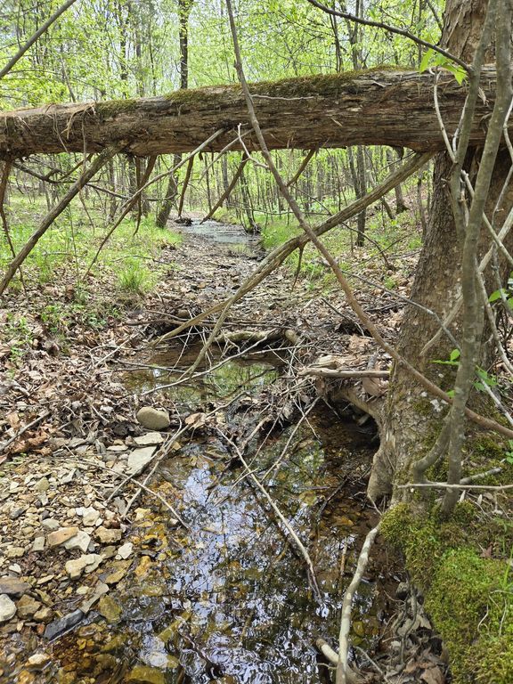 828 McCord Hollow Rd, Hohenwald, TN 38462