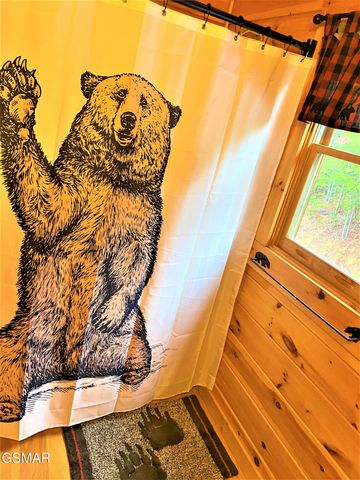 2245 Beach Front Drive, Sevierville, TN 37876