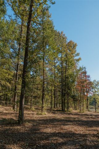 Lot 16 Private Road 5948, Yantis, TX 75497