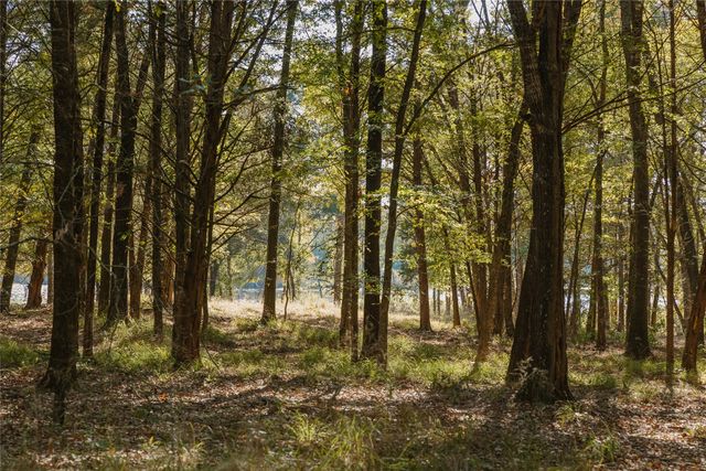 Lot 16 Private Road 5948, Yantis, TX 75497