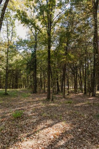 Lot 16 Private Road 5948, Yantis, TX 75497