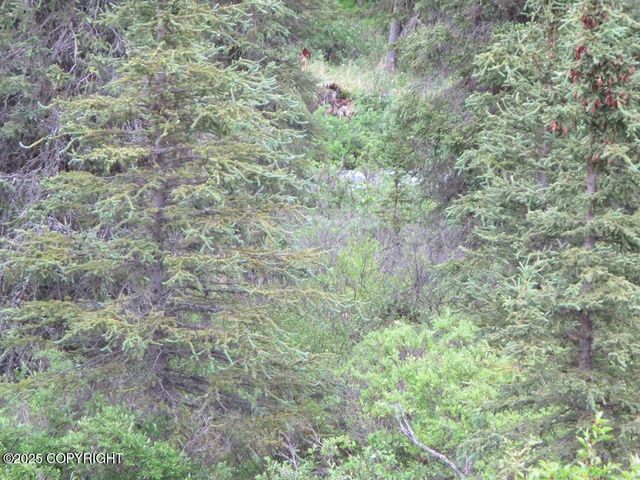 L6 River Circle, Eagle River, AK 99577