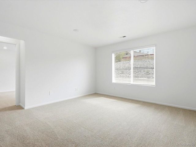 1652 Yampa River Dr, Windsor, CO 80550