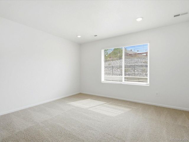 1652 Yampa River Dr, Windsor, CO 80550