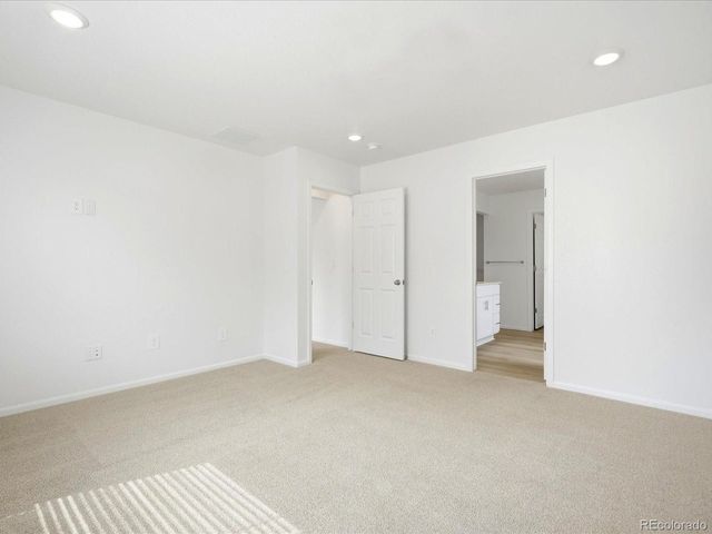 1652 Yampa River Dr, Windsor, CO 80550