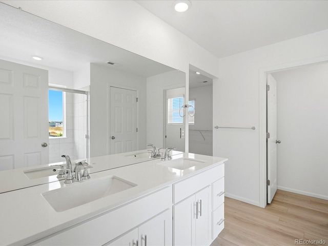 1652 Yampa River Dr, Windsor, CO 80550