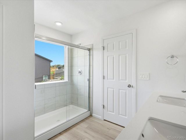 1652 Yampa River Dr, Windsor, CO 80550