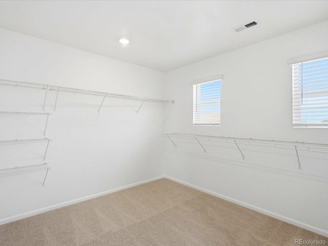 1652 Yampa River Dr, Windsor, CO 80550