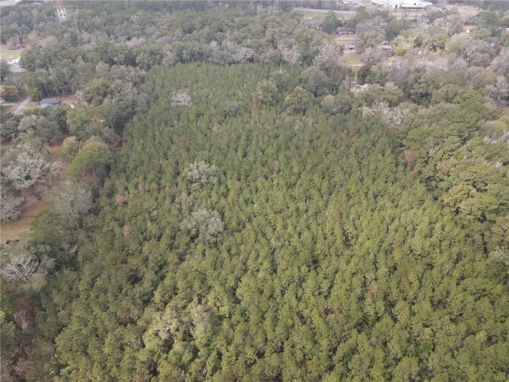 0 Baldwin Street, Satsuma, AL 36572 — photo 3