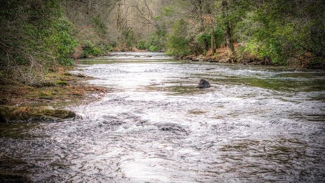 531 Old Gravel Road, Mccaysville, GA 30555