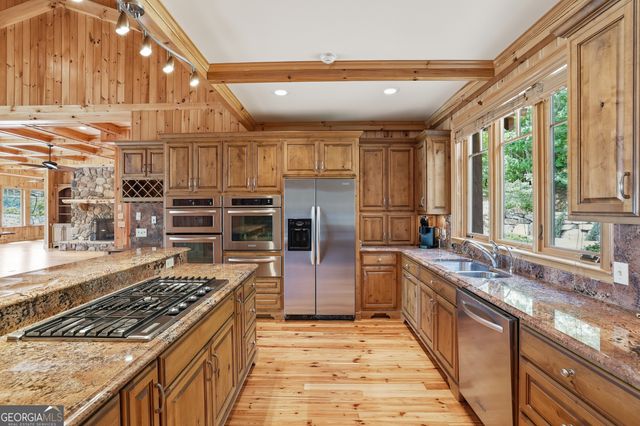 95 Marshall Lane, Tiger, GA 30576