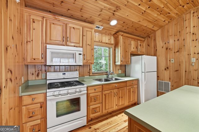 95 Marshall Lane, Tiger, GA 30576