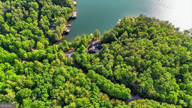 95 Marshall Lane, Tiger, GA 30576
