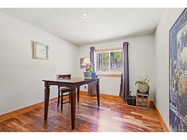 8790 S Warhawk Rd, Conifer, CO 80433