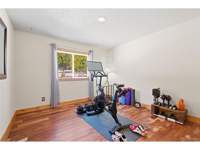 8790 S Warhawk Rd, Conifer, CO 80433