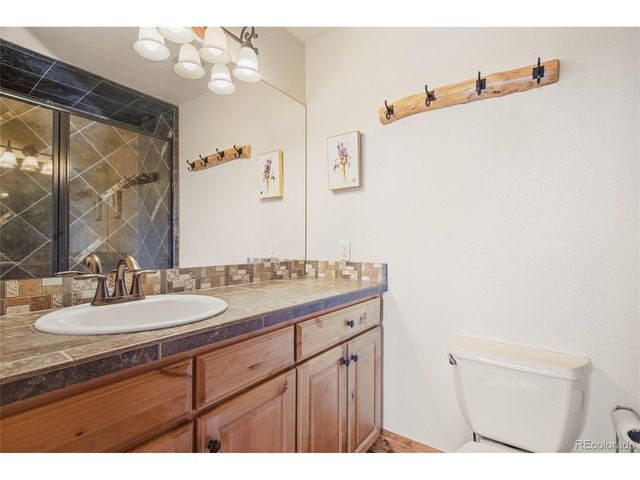 8790 S Warhawk Rd, Conifer, CO 80433