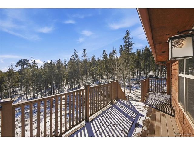 8790 S Warhawk Rd, Conifer, CO 80433