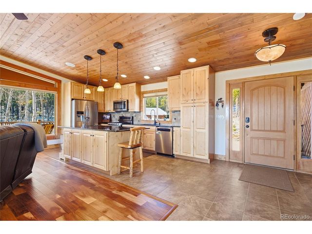 8790 S Warhawk Rd, Conifer, CO 80433