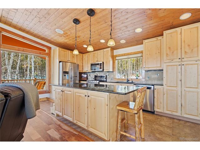 8790 S Warhawk Rd, Conifer, CO 80433