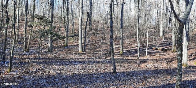 1149 Off Stanley Hood Rd, Crossville, TN 38571