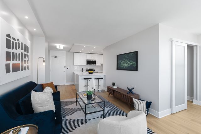 1255 N Sandburg Terrace 1707, Chicago, IL 60610