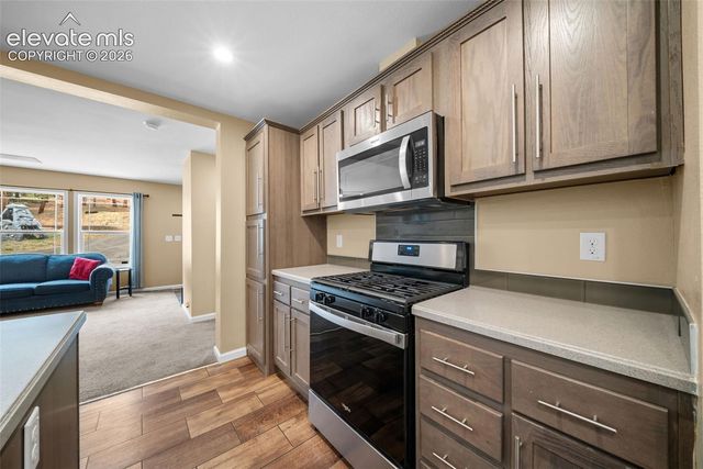 156 Fossil Creek Road, Florissant, CO 80816