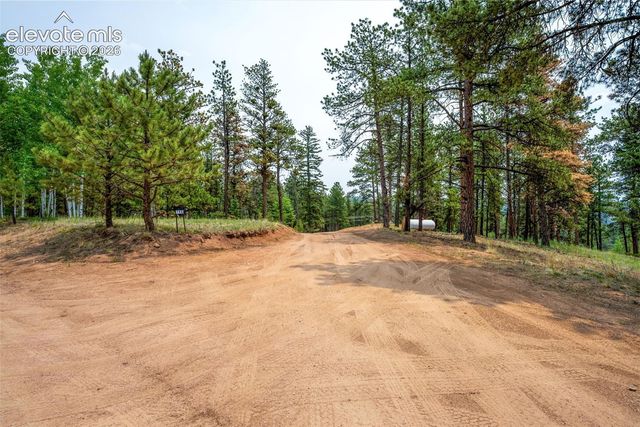 156 Fossil Creek Road, Florissant, CO 80816