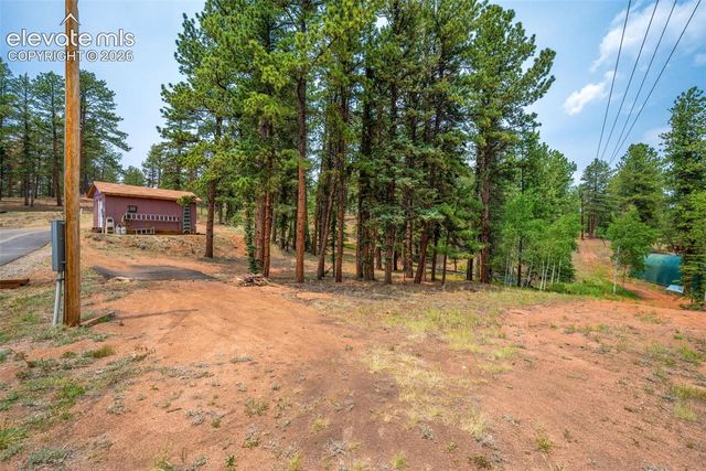 156 Fossil Creek Road, Florissant, CO 80816