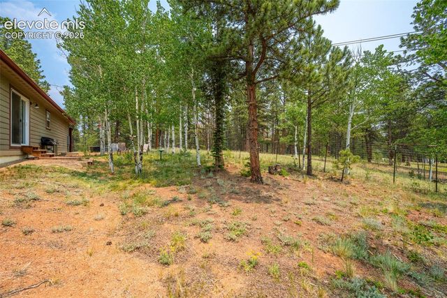 156 Fossil Creek Road, Florissant, CO 80816