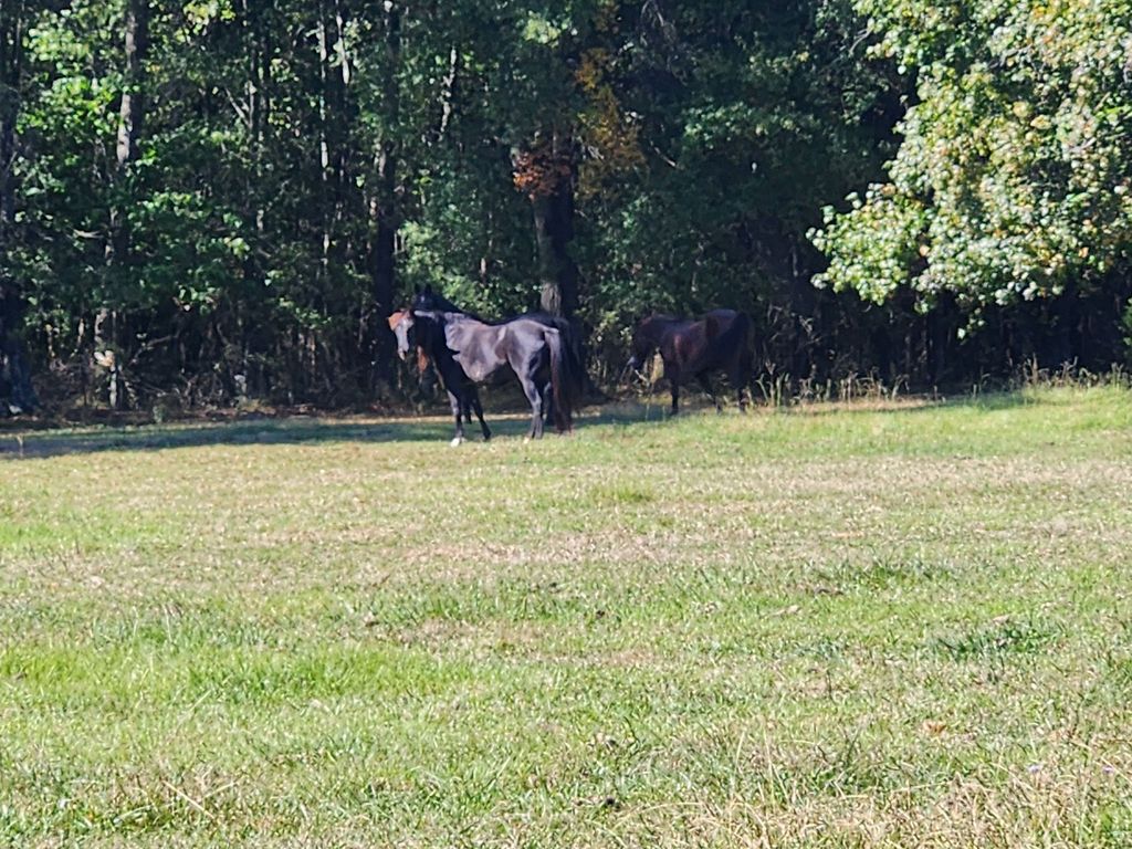 0 Old Alto Hwy, Decherd, TN 37324