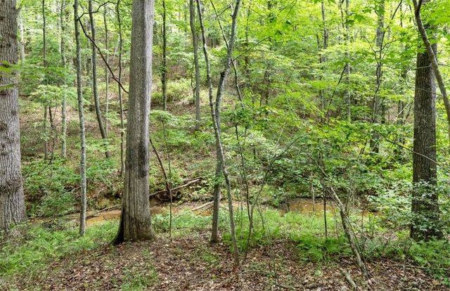 120 Brookhaven Trail, Blue Ridge, GA 30513