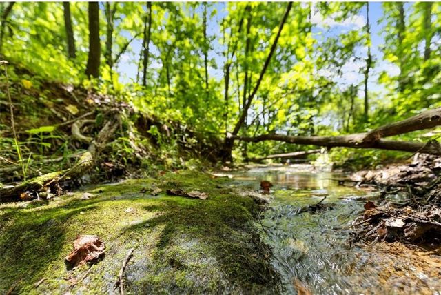 120 Brookhaven Trail, Blue Ridge, GA 30513