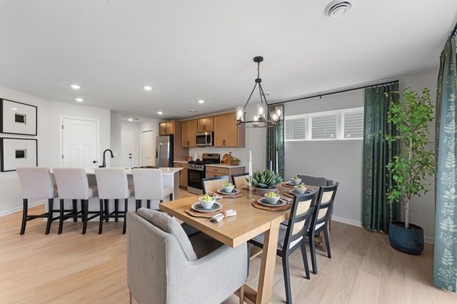 1044 Adamstown Drive, Rosemount, MN 55068