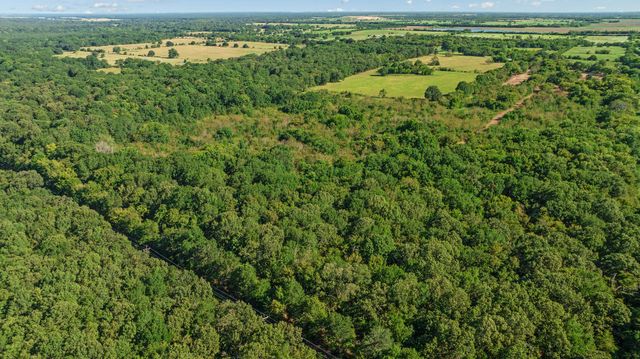 TBD FR 194, Blossom, TX 75416